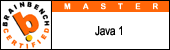 java 1