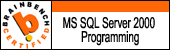 ms sqlserver2000 programming