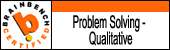 problem solving-qualitative